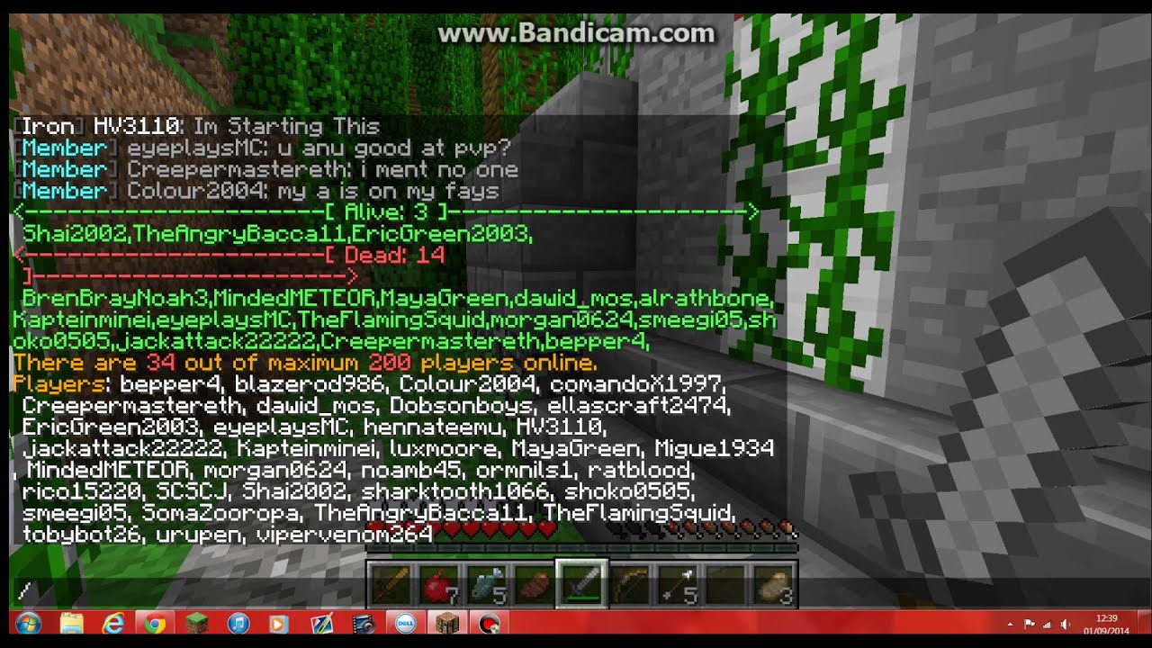 Emenbee Realms: Survival Games (1)