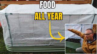 This Raised Bed Feeds My Family ALL YEAR