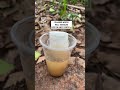 Genius water filtration in the wilderness 😲💧         🎥: BViral
