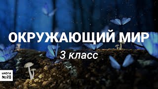 3 класс - Окружающий мир -  Путешествие к объектам Всемирного наследия в России - 14.05.2020