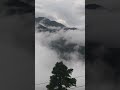 Lovely and Romantic Weather #shrots #youtubeshorts #trending #viralvideo #viral #ytshorts