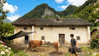 Download Lagu 🏠After losing my job, my whole family returned to our hometown to renovate our old house#building MP3