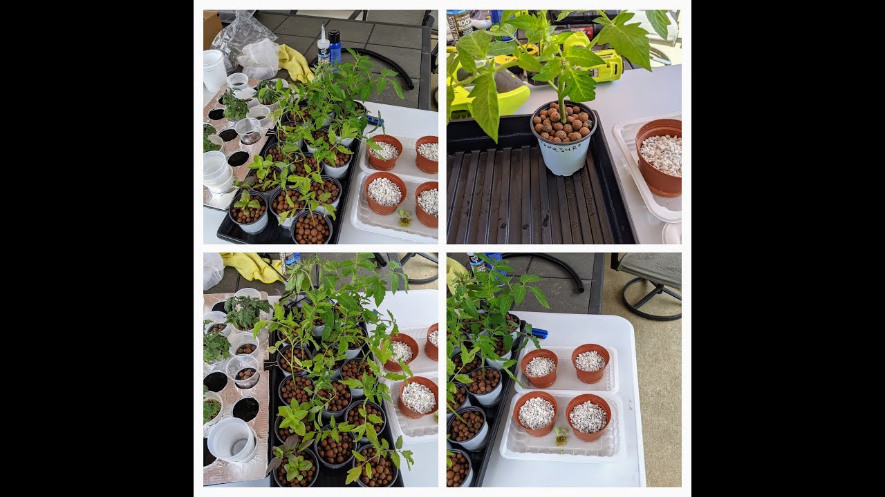 Новая гидропонная установка DNFT #2 🪴Краткий обзор, разбор растений на гидре 🪴