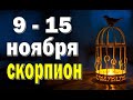 СКОРПИОН 👍 неделя с 9 по 15 ноября. Таро прогноз гороскоп