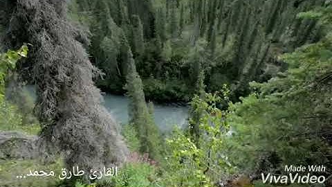 تلاوة خاشعة بصوت القارئ طارق محمد.../حالات واتس اب