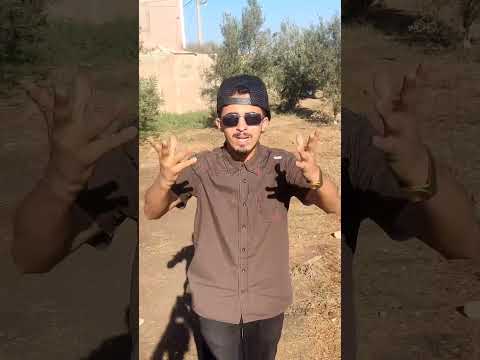 شوف هذا كيلوح النعمه