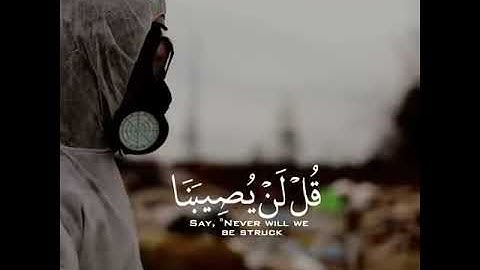 قرآن كريم بصوت القارئ: ياسر الدوسري || أجمل حالات واتس اب دينيه || تلاوة خاشعة 🖤🌸