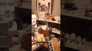 Limerick #21 with Angus Reid