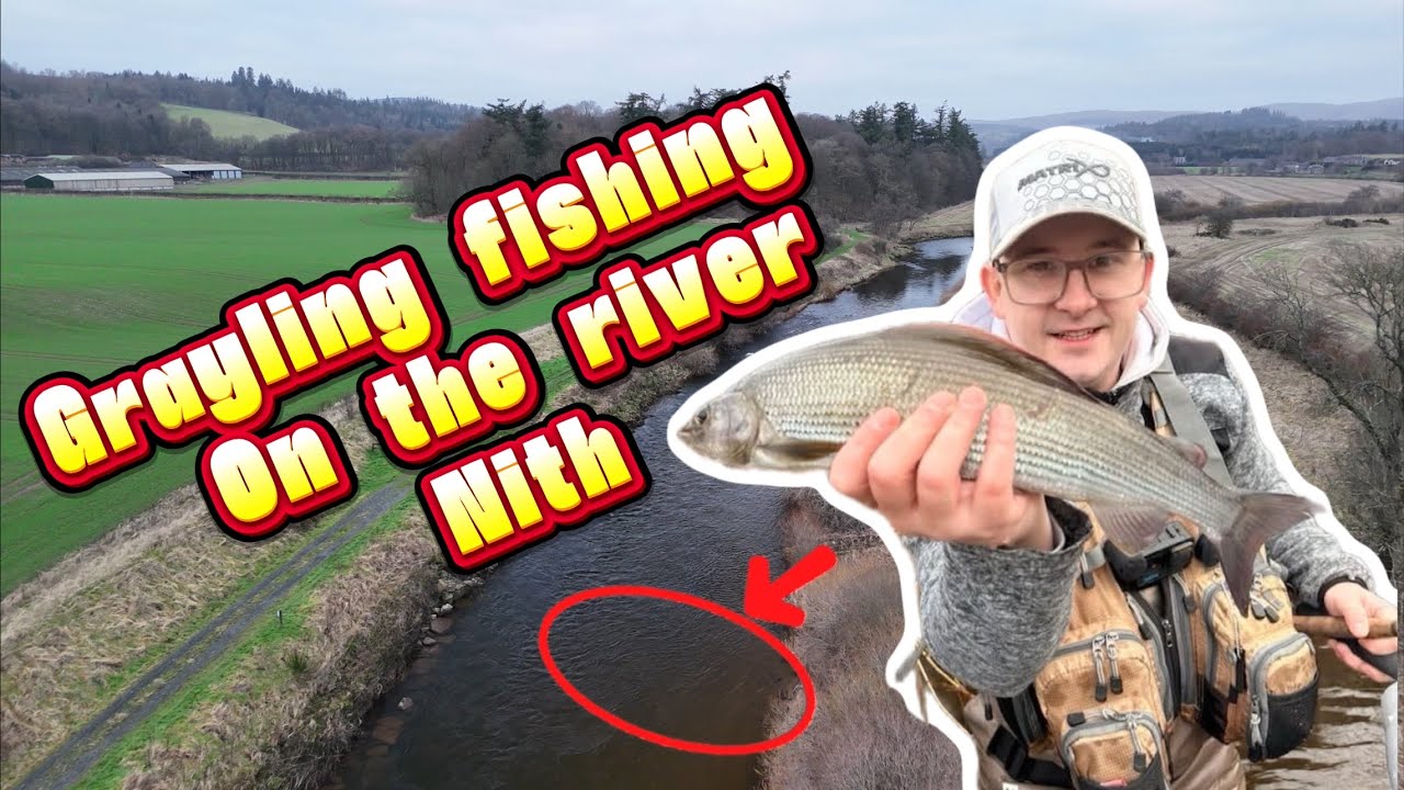 River Nith Grayling Madness 🎣 Cold-Water Action You Don’t Want to Miss!