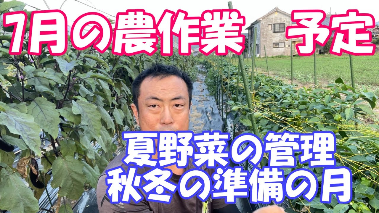 7月の農作業はこんな全体像を意識しながら勧めていきます！