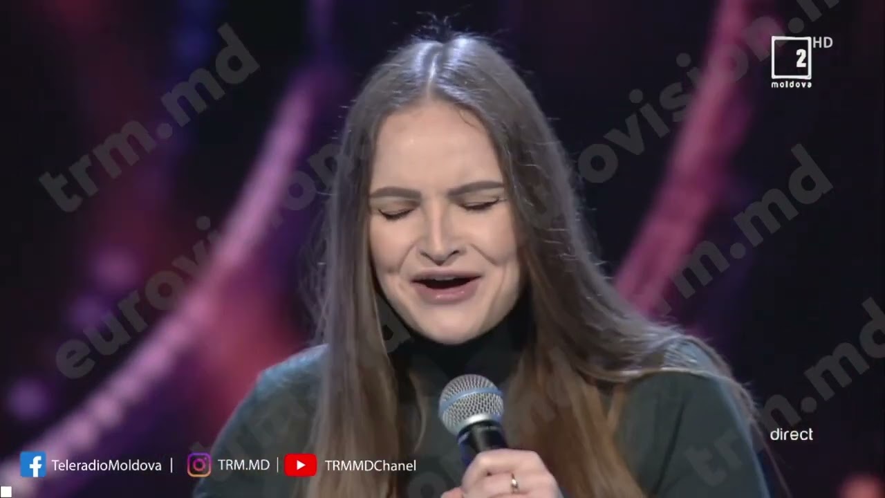 Ana Cernicova „Silent Battlefield” - 