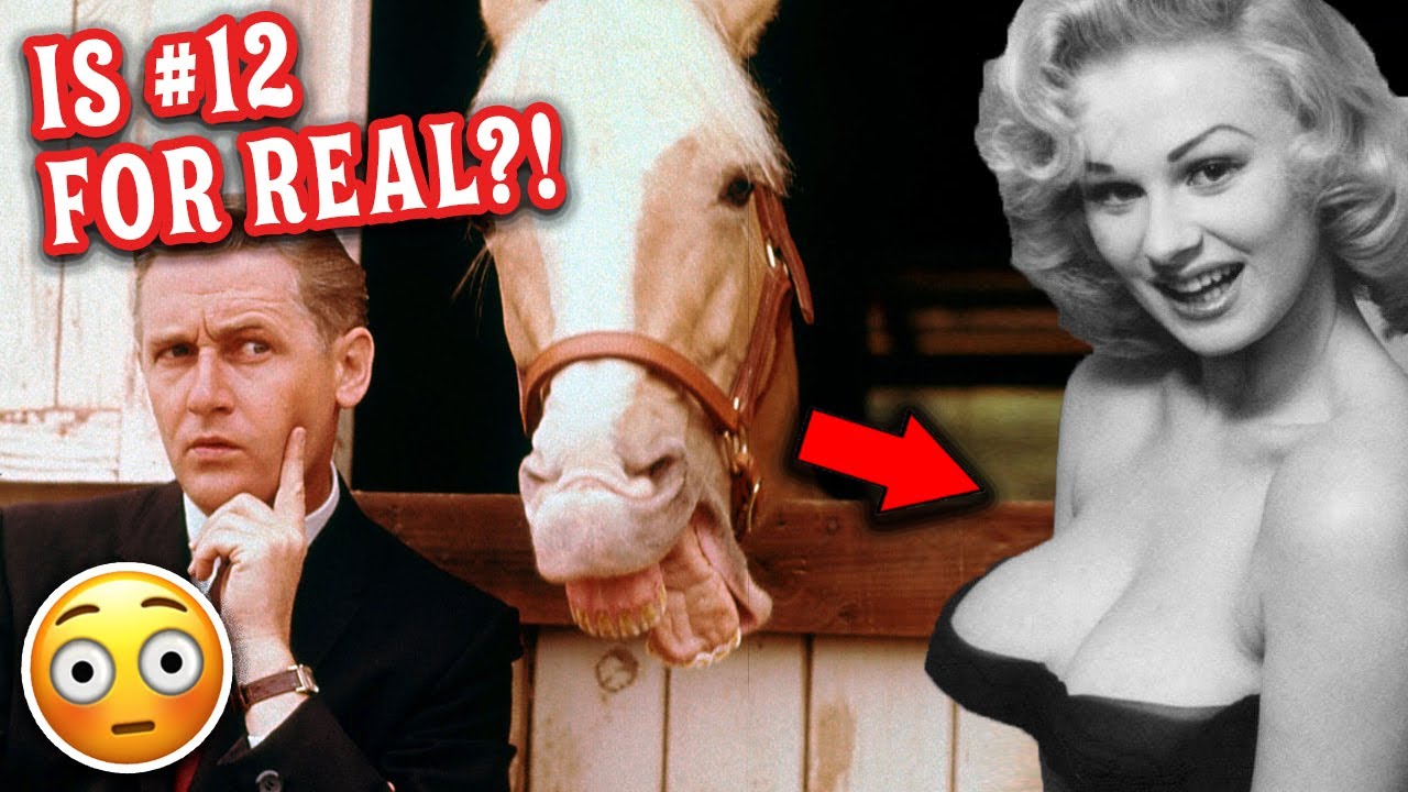 17 Crazy Facts About 'Mister Ed' You Didn't Know About