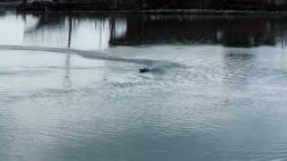DSCF0630.AVI