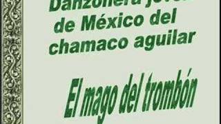 Video thumbnail of "Danzonera Joven de México - El mago del trombón"