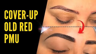 COVER-UP BROW TUTORIAL by Lola Klova 1,397 views 9 months ago 12 minutes, 21 seconds