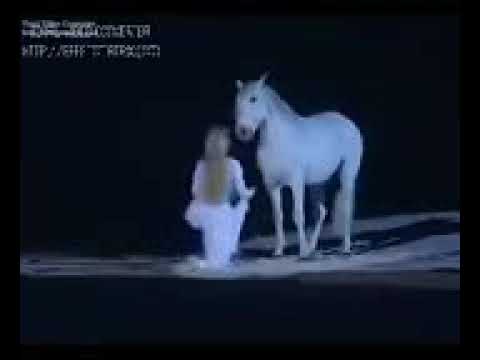 احساسي مصطفى كامل