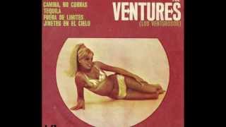 THE VENTURES - Riders on the Sky chords