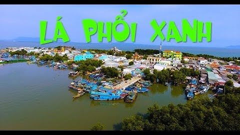 Best Amazing Vietnam #Fly|33 "Lá phổi xanh" của Thành phố Hồ Chí Minh