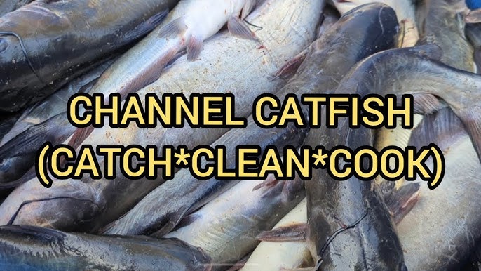 Building Homemade Catfish Slat Traps Part 4: ( Finished Product