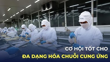 CƠ HỘI TỐT CHO ĐA DẠNG HÓA CHUỖI CUNG ỨNG