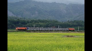 EP540迴送8792次R169+540+R172@瑞源站南