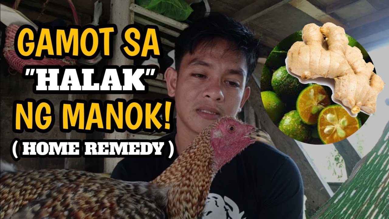 GAMOT SA HALAK NG MANOK! | Home Remedy | #Paragmanoktv