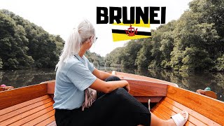 MUST DO Brunei - Floating Village and Mangrove Safari!?