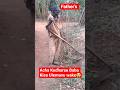 Baba Anavyo Pata Shida Kijijini Utalia 