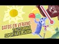 Consejos para refrescar a tu gato en verano 🌞😻🍦| Trucos para soportar el calor