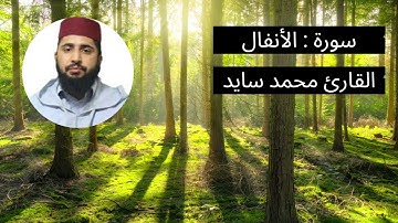 سورة الأنفال بصوت القارئ محمد سايد
