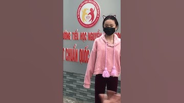 Giới thiệu về trường Tiểu học Nguyễn Thái Học, Quận 1, tp HCM- chuẩn quốc gia mức độ 2