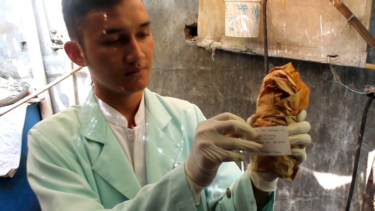 Teknik Pengambilan Sampel Air Sumur