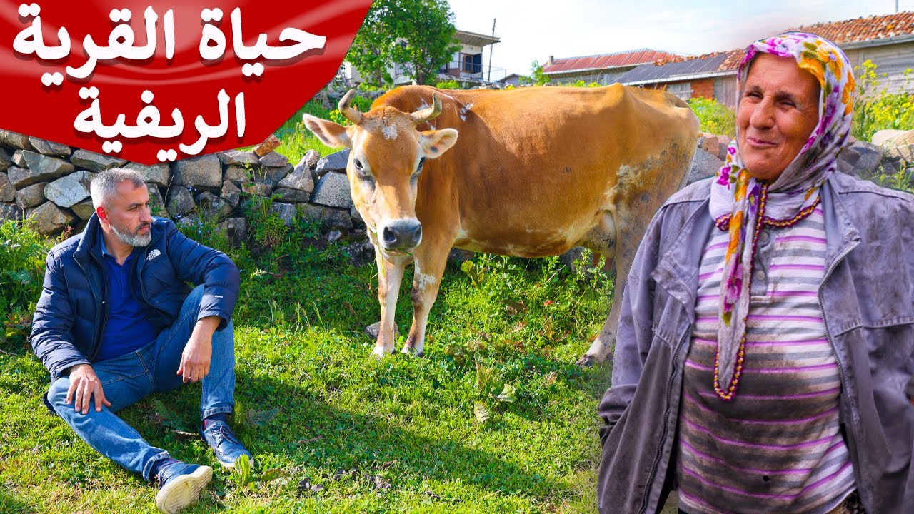 Турецкая деревенская жизнь | Трабзон | Магия турецкой природы