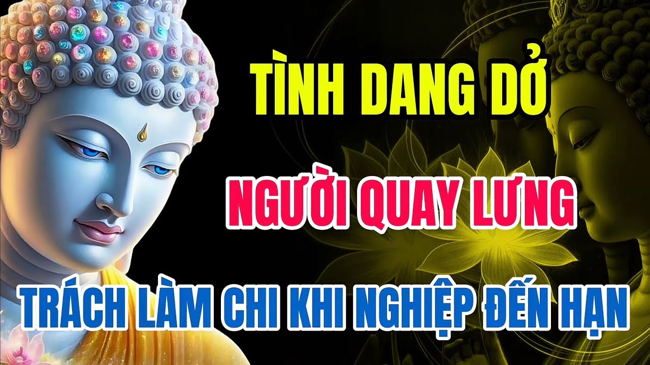 Tình Dang Dở – Người Quay Lưng – Nghiệp Đến Hạn – Nghe Một Lần Tỉnh Ngộ Buông Xuống