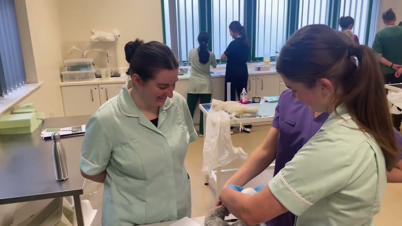 Myerscough Veterinary Nursing - Excellence in practice, superb career prospects