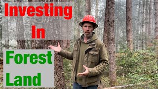 Why I Like Investing in Forest Land. Bare Land and Timber