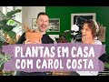 COMO CUIDAR DE PLANTAS - COM CAROL COSTA, DO MINHAS PLANTAS!