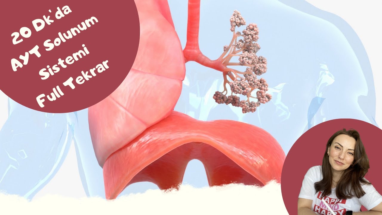 20 Dk' da AYT Solunum Sistemi Full Tekrar