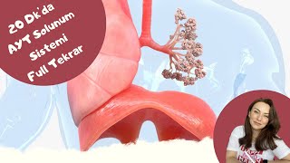 20 Dk Da Ayt Solunum Sistemi Full Tekrar