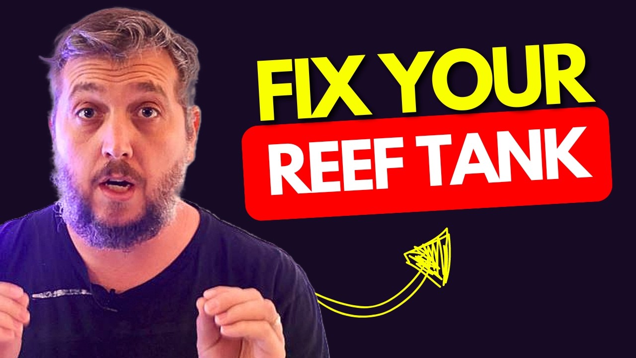 View of 3 Big Mistakes That RUIN Your Reef Tank! - YouTube