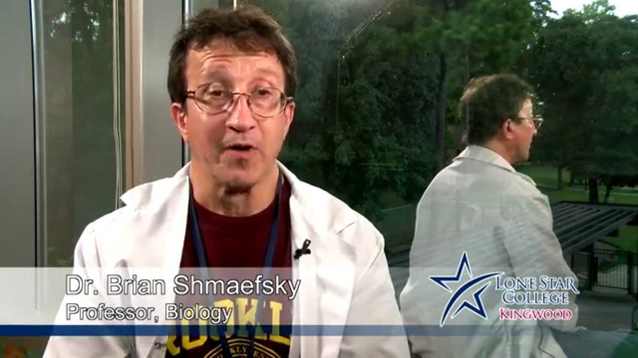 Tutoring at Lone Star CollegeKingwood Dr. Brian Shmaefsky YouTube