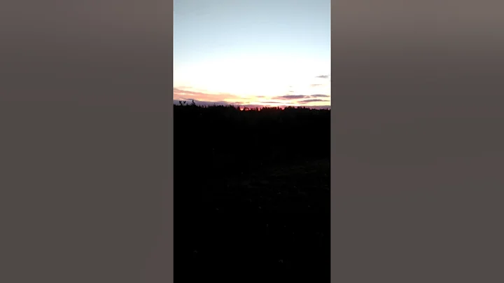 Mystic Sunrise morning meditation