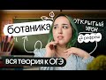 ⚡️ВСЯ БОТАНИКА К ОГЭ | ОТКРЫТЫЙ УРО