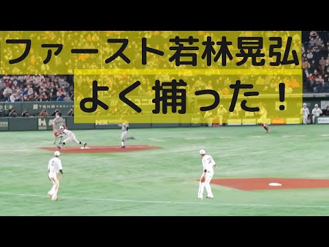 ファースト若林晃弘 体を伸ばしてよく捕った！ベースから足が離れない！