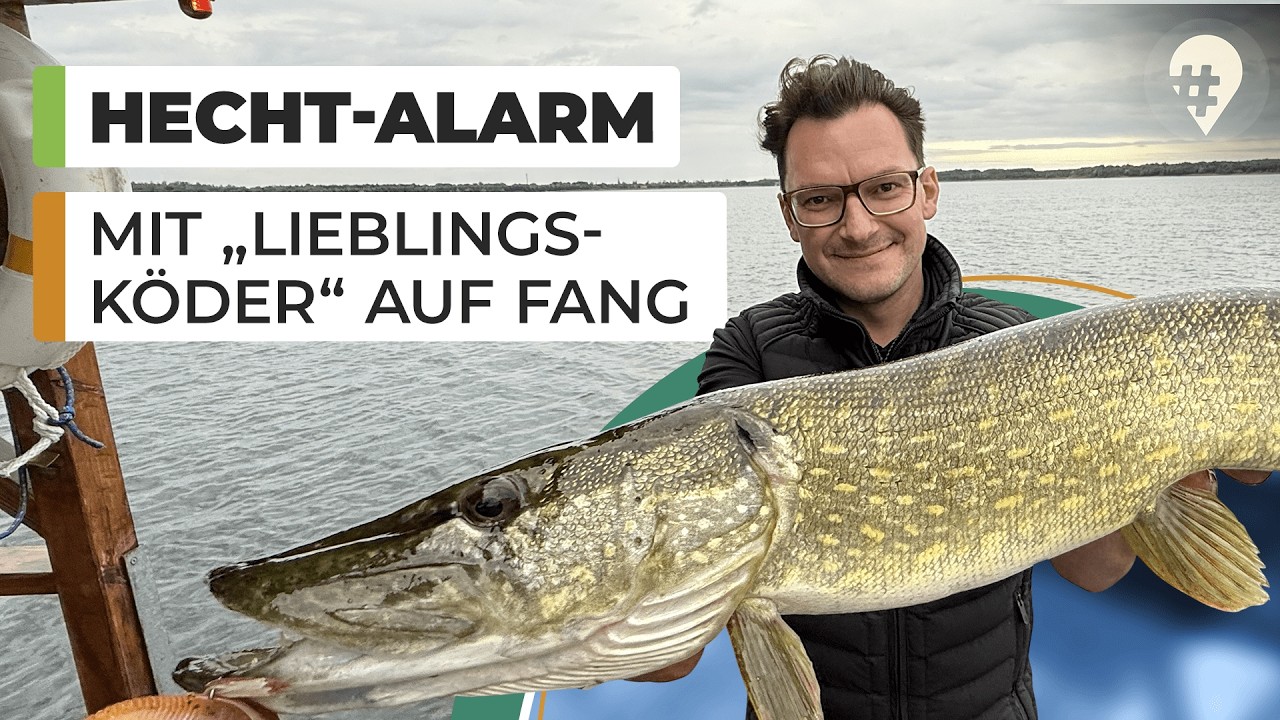 Hecht-Alarm und viele Barsche: Angeln am Gröberner See mit Tipps vom Profi