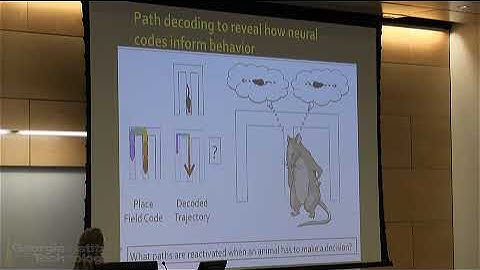 Hippocampal Codes in Spatial Memory and Alzheimer’s Disease