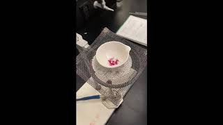 Experiment 6: Properties of Hydrates