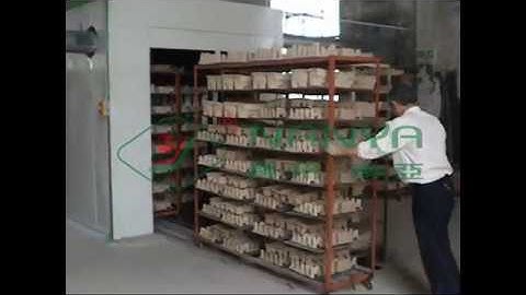 Pulp Molding Tunnel Drying Type