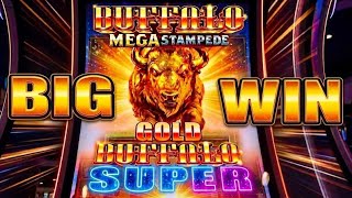 BUFFALO SUPER BONUS! Gold Buffalo Feature Pays Out BIG! 🐃✨ screenshot 5