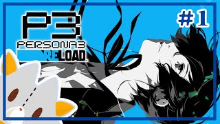 【ネタバレ有り】ぬいぐるみ再びP３の世界へ【ペルソナ３リロード】